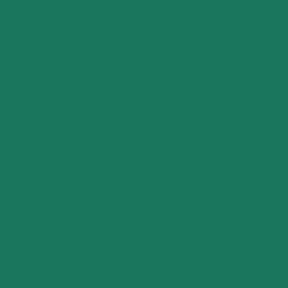 Touch Up Paint for your Ford F-150 1998 Pacific Green Metallic PS