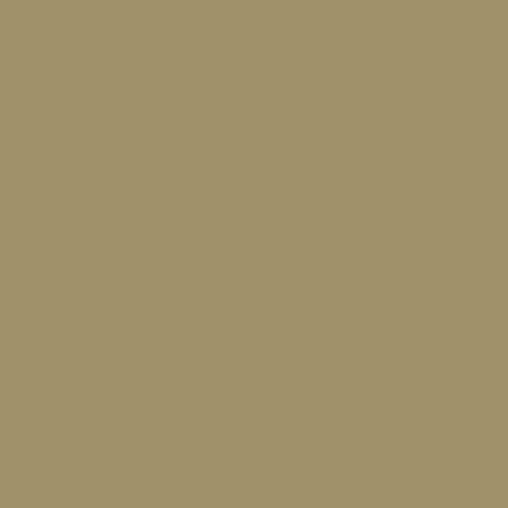 Touch Up Paint for your Audi A8 2021 Savana Beige Pearl T2