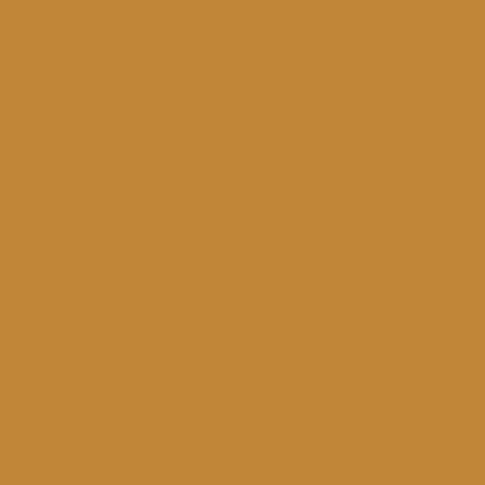 Touch Up Paint for your Nissan Rogue 2008 Orange Metallic A55