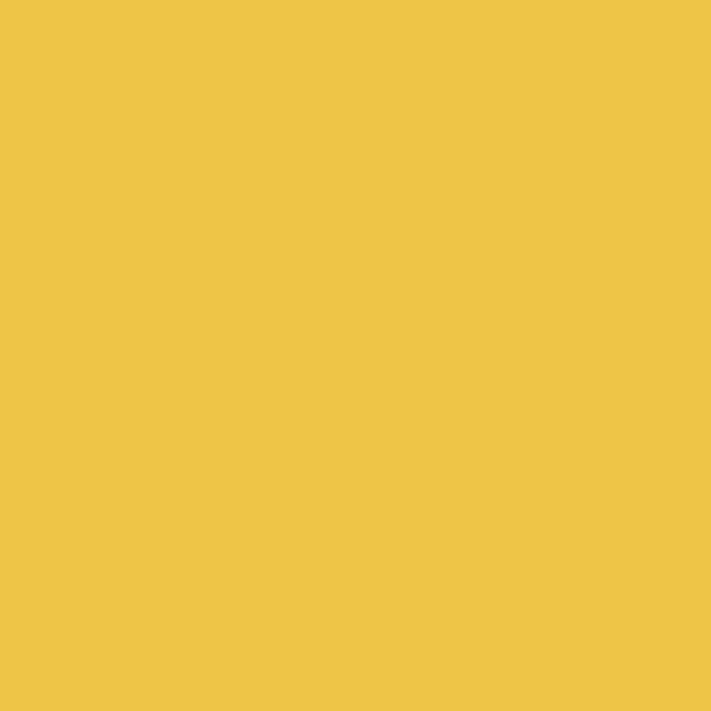 Touch Up Paint for your Alfa-Romeo 4C 2017 Giallo Prototipo PYF