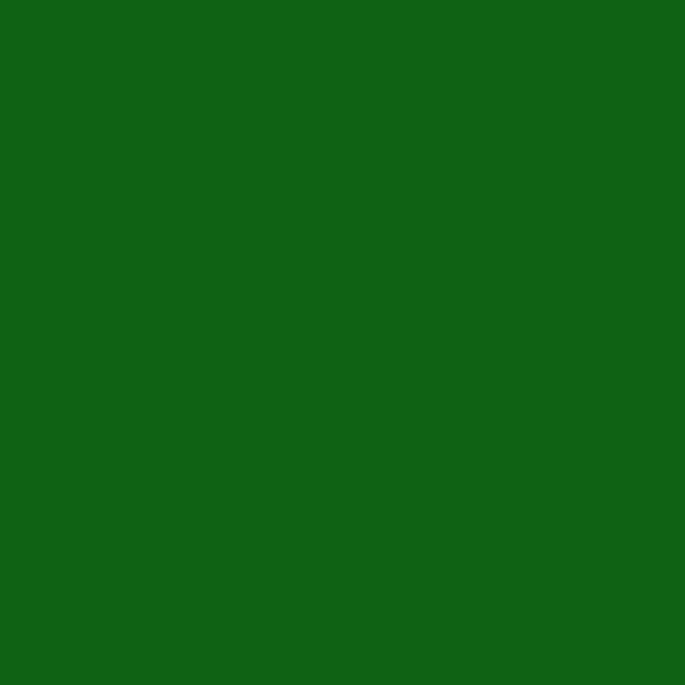 Touch Up Paint for your Ford Ranger 1999 Amazon Green Metallic SU