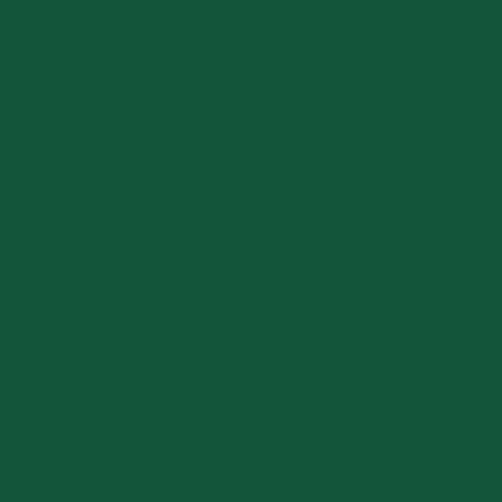 Touch Up Paint for your Mercury Villager 1992 Deep Jewel Green Metallic M6414
