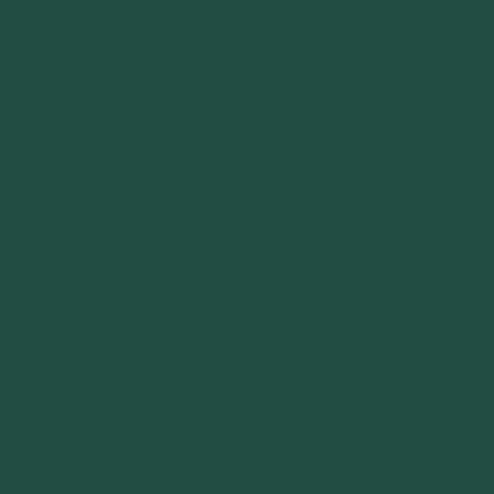 Touch Up Paint for your Mercury Mountaineer 1999 Amazon Green Metallic 6922