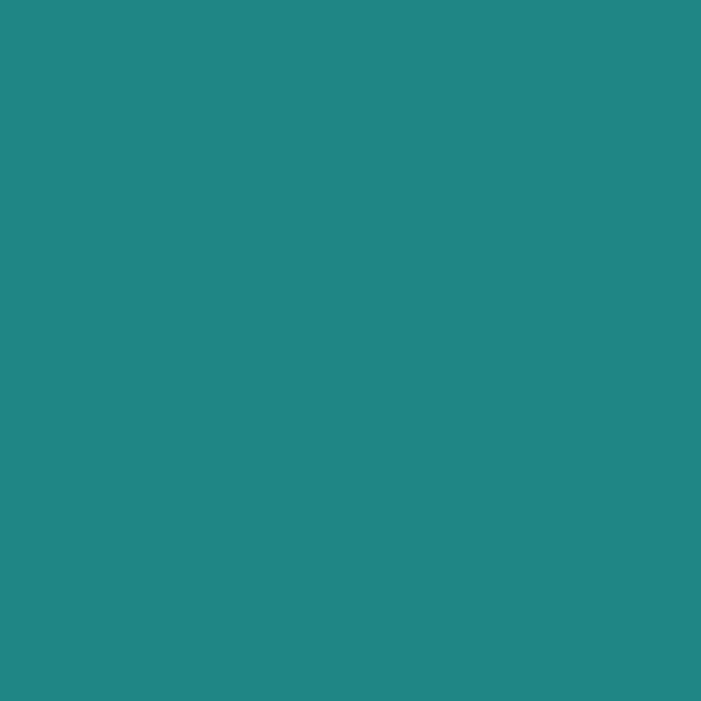 Touch Up Paint for your Ford F-250-Super-Duty 2001 Dark Teal Metallic R2