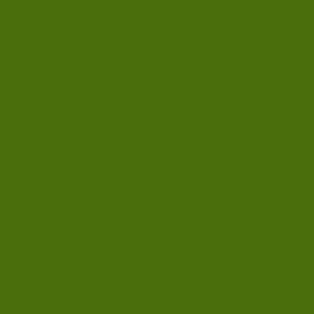 Touch Up Paint for your Volkswagen Super-Beetle 1974 Sage Green P4