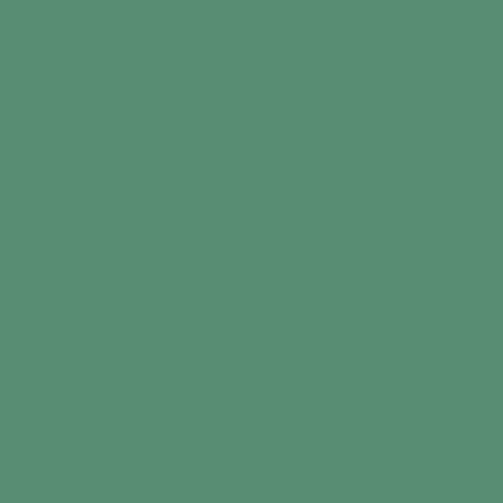 Touch Up Paint for your Ford Mustang 1964 Cascade Green S (1964)