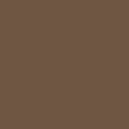 Touch Up Paint for your Alfa-Romeo All 1979 Chocolate Brown AR836