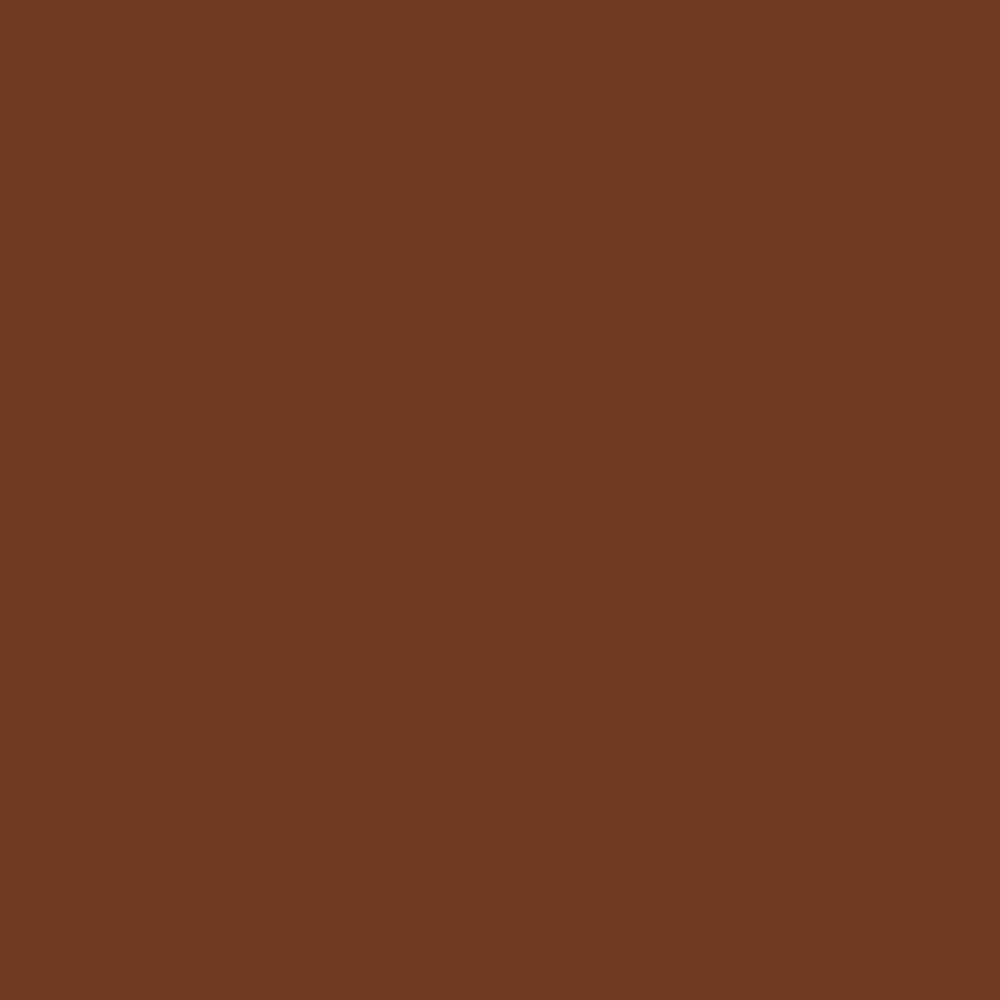 Touch Up Paint for your American-Motors Pacer 1976 Dark Cocoa Metallic H4