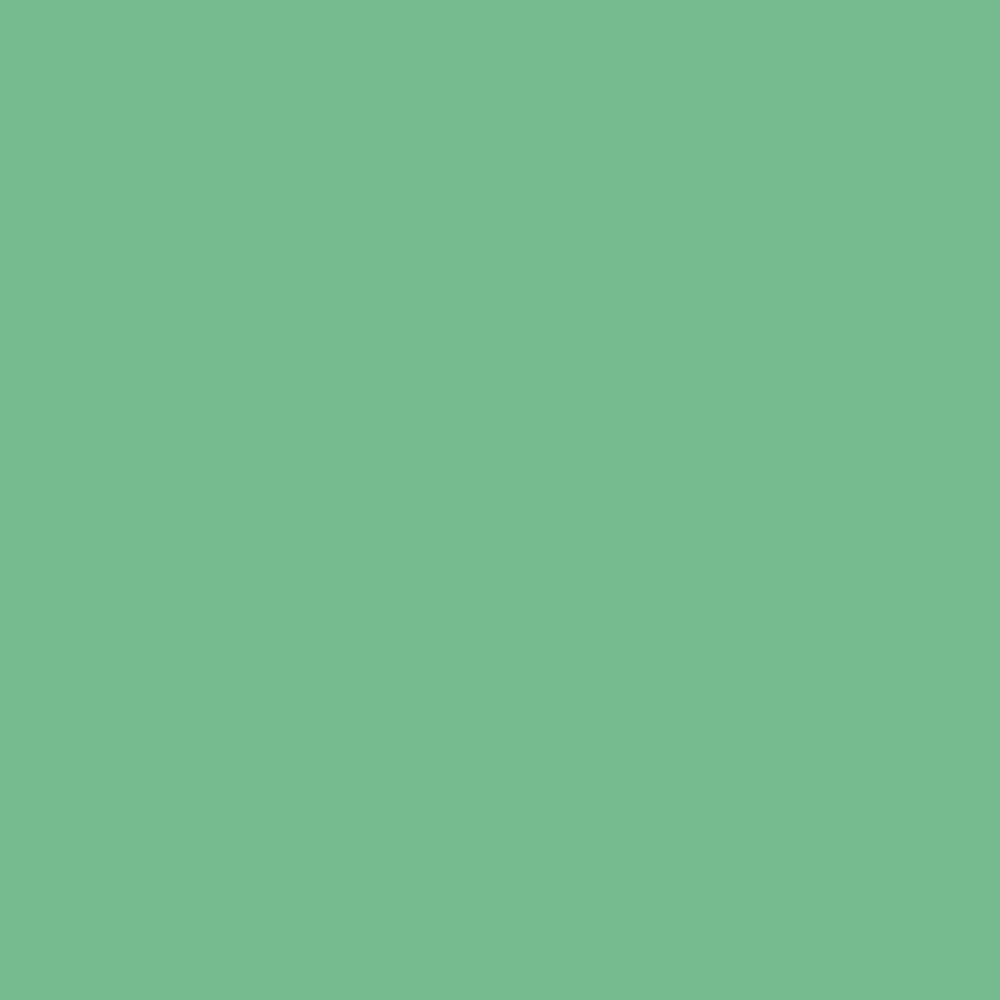 Touch Up Paint for your American-Motors Pacer 1976 Seaspray Green 6B