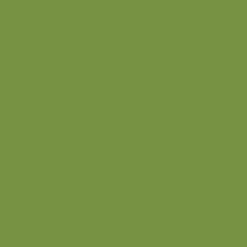 Touch Up Paint for your Subaru Outback 2018 Wilderness Green Metallic K4X