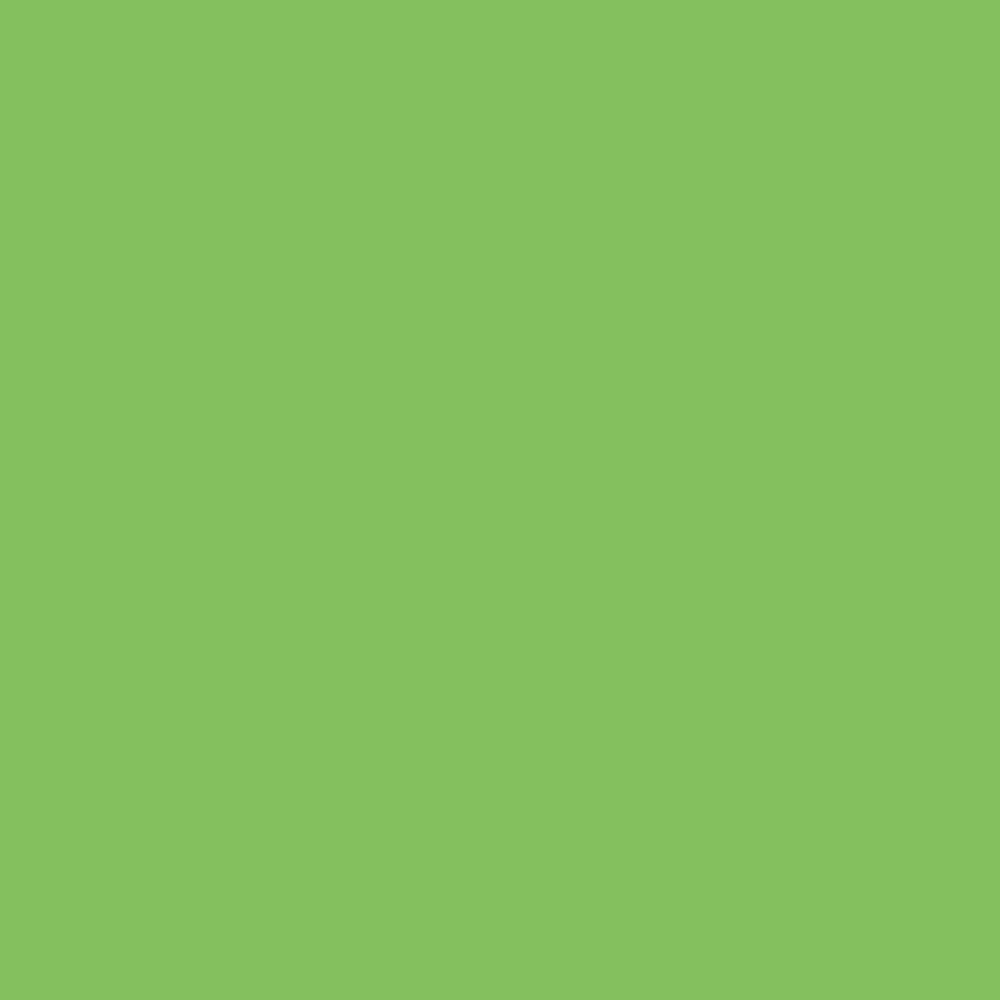 Touch Up Paint for your Ford Fiesta 2014 Green Envy Pearl M7278A