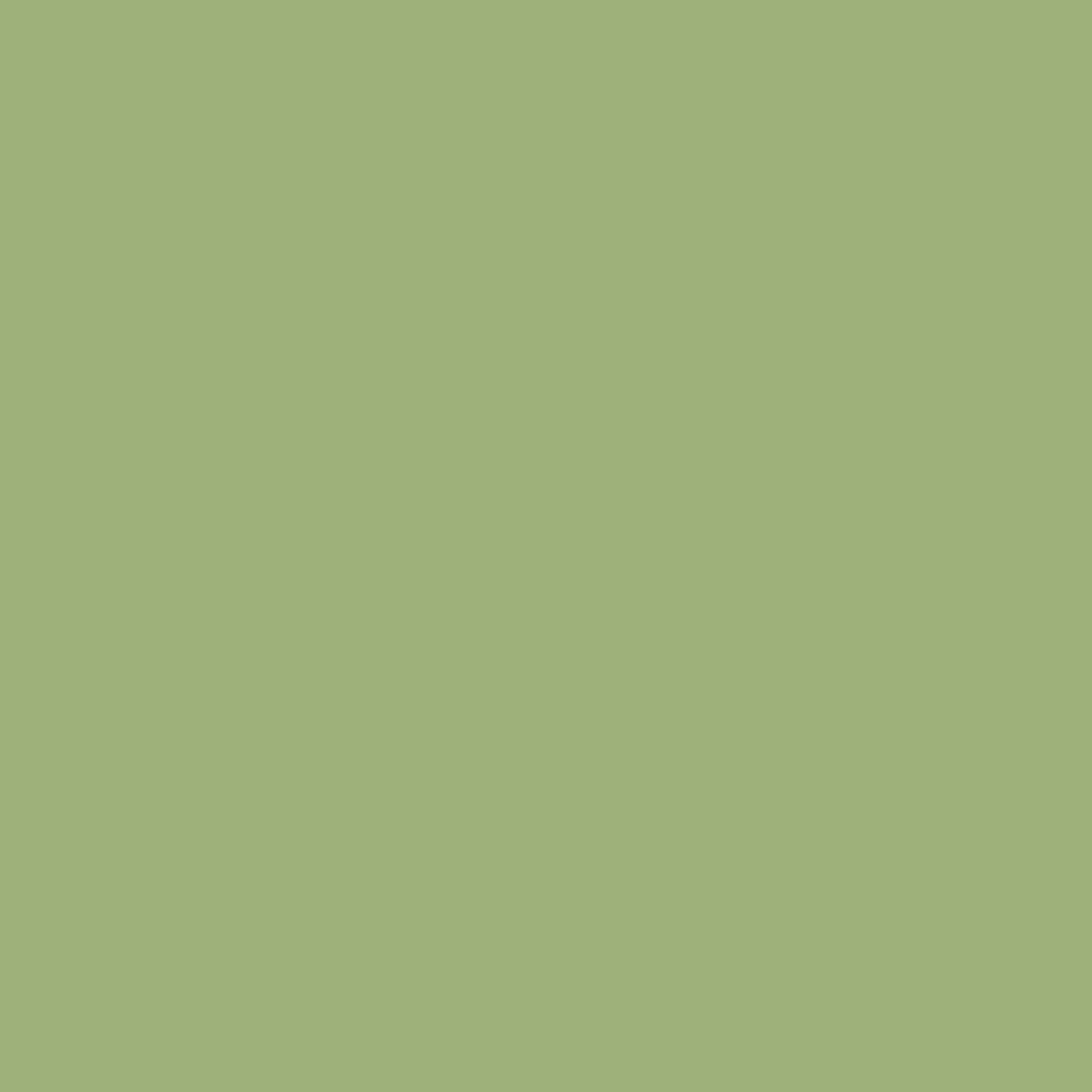 Touch Up Paint for your Volkswagen Passat 2005 Fresco Green Metallic LA6W