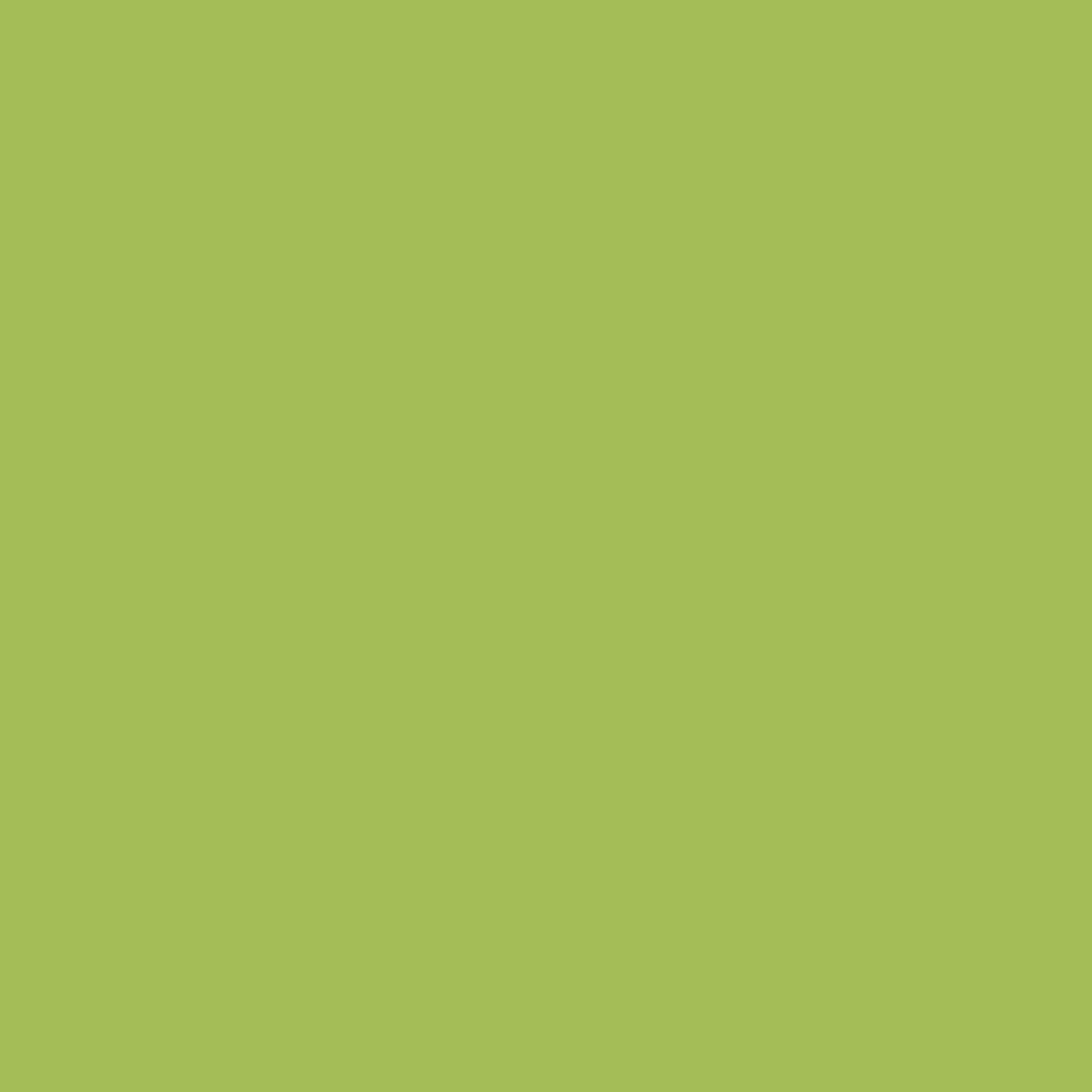 Touch Up Paint for your Volkswagen Beetle 2005 Cyber Green Metallic L9