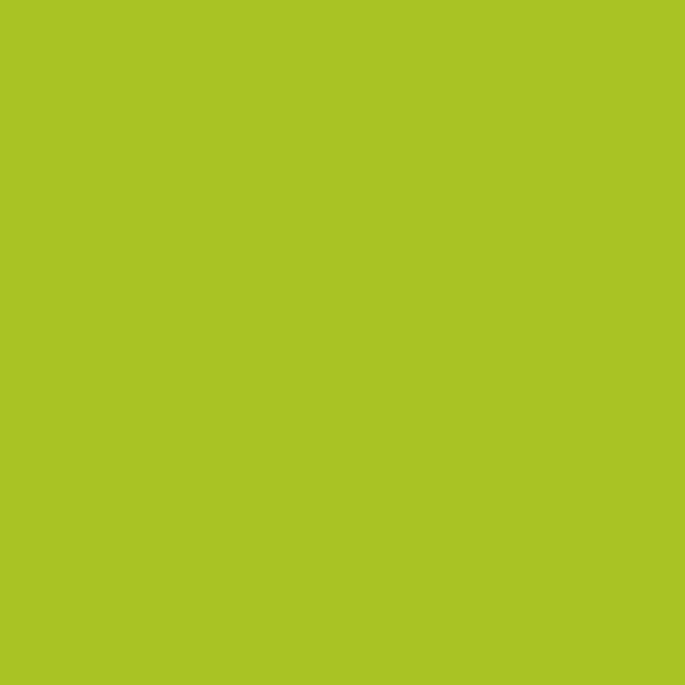 Touch Up Paint for your Jeep Renegade 2020 Hypergreen 566