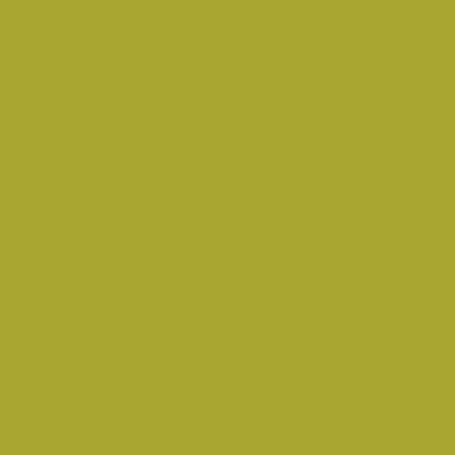 Touch Up Paint for your American-Motors Pacer 1976 Golden Jade Metallic H6