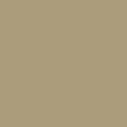 Touch Up Paint for your American-Motors Hornet 1978 Khaki 8A