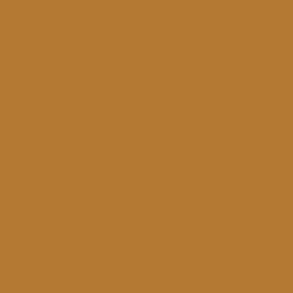 Touch Up Paint for your Ford Bronco 1984 Bright Copper Metallic 9C