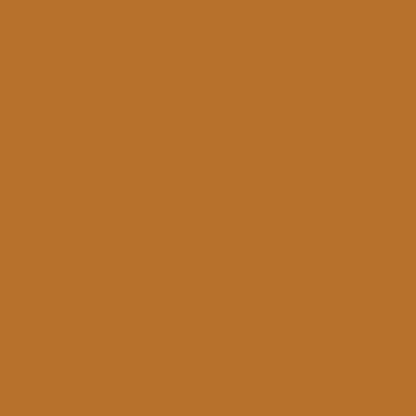 Touch Up Paint for your American-Motors Spirit 1980 Caramel OR