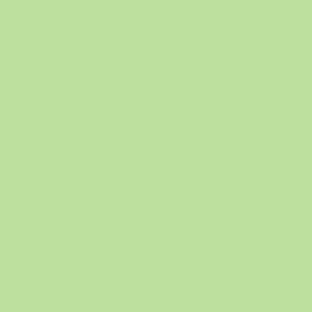 Touch Up Paint for your Volkswagen Beetle 2005 Gecko Green Metallic LA6K