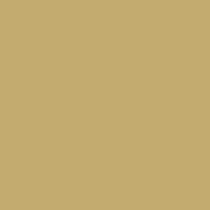 Touch Up Paint for your American-Motors Spirit 1981 Cameo Tan OK