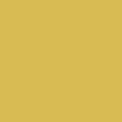 Touch Up Paint for your Aston-Martin Vanquish 2014 New Yellow Metallic 5162D