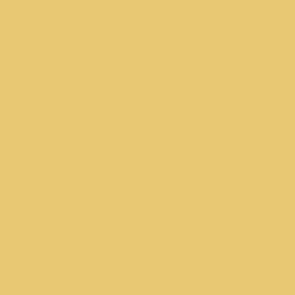 Touch Up Paint for your Chevrolet Spark 2013 Honey Mellow Yellow 726U