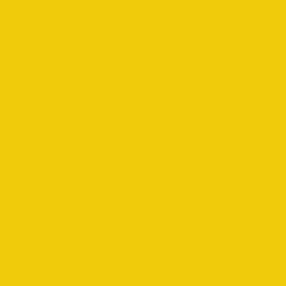 Touch Up Paint for your American-Motors Eagle 1982 Sun Yellow 2B