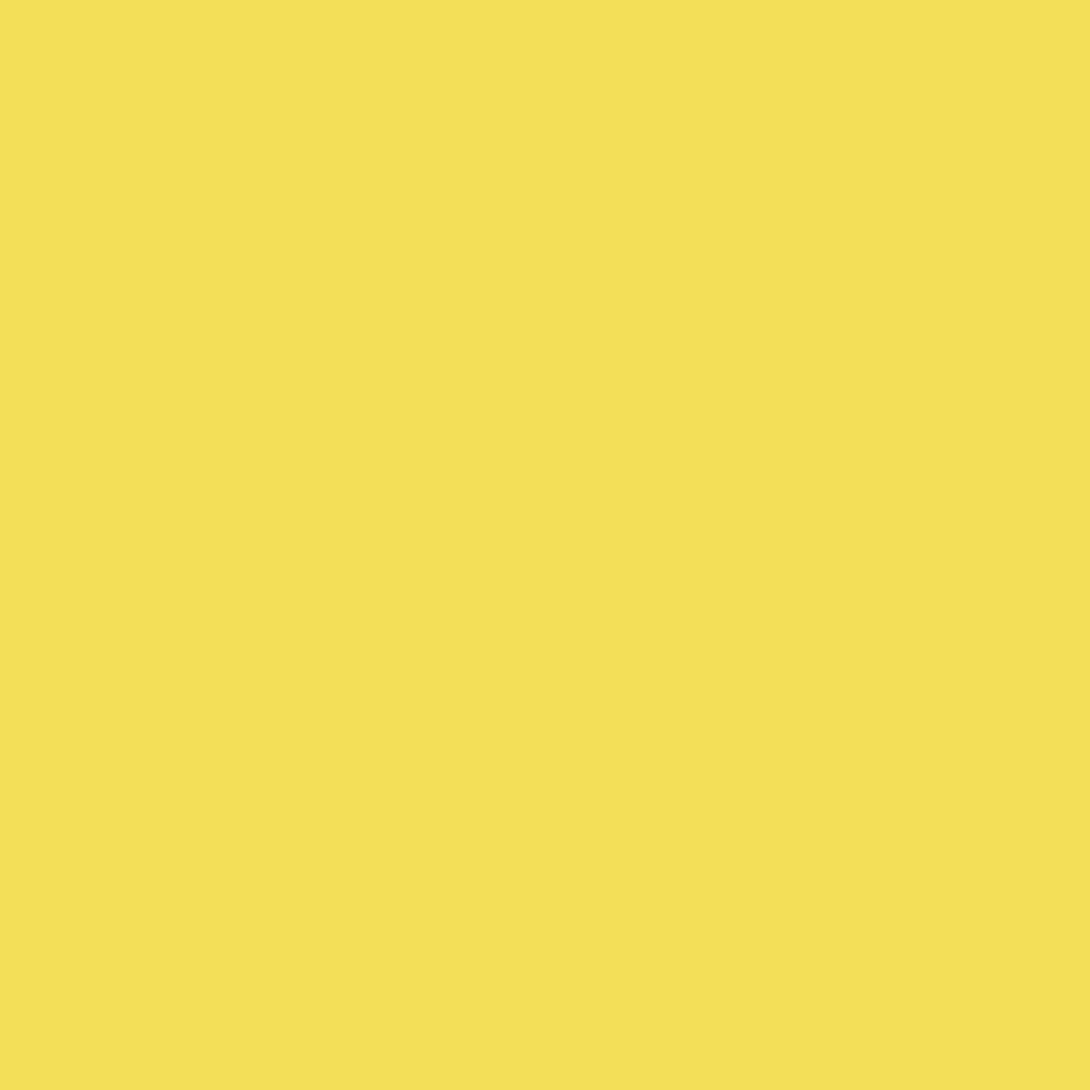 Touch Up Paint for your Ford Mustang 2001 Zinc Yellow M7000